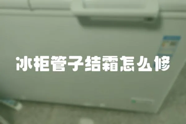 冰柜管子結霜怎么修