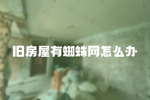 舊房屋有蜘蛛網怎么辦