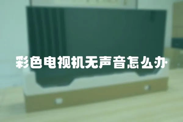 彩色電視機無聲音怎么辦
