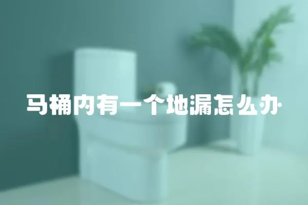 馬桶內(nèi)有一個地漏怎么辦