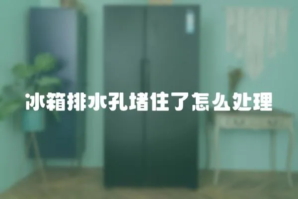 冰箱排水孔堵住了怎么處理