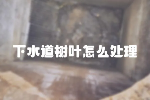 下水道樹葉怎么處理