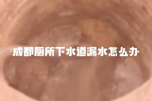 成都厕所下水道漏水怎么办