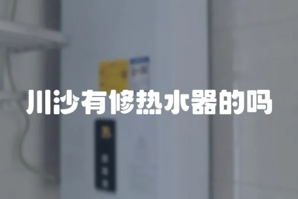 川沙有修熱水器的嗎