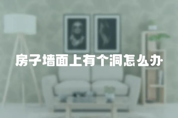 房子墻面上有個(gè)洞怎么辦