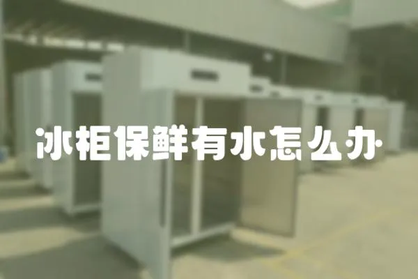 冰柜保鮮有水怎么辦