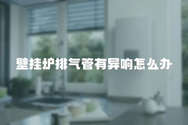 壁掛爐排氣管有異響怎么辦