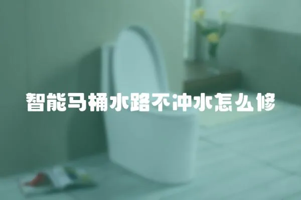 智能馬桶水路不沖水怎么修