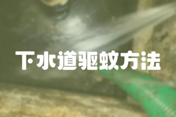 下水道驅蚊方法