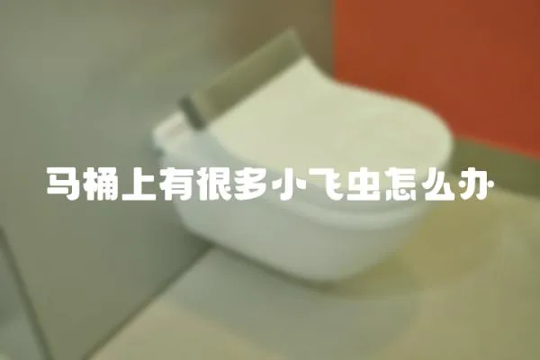 馬桶上有很多小飛蟲怎么辦