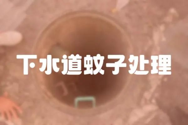 下水道蚊子處理