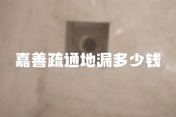 嘉善疏通地漏多少錢