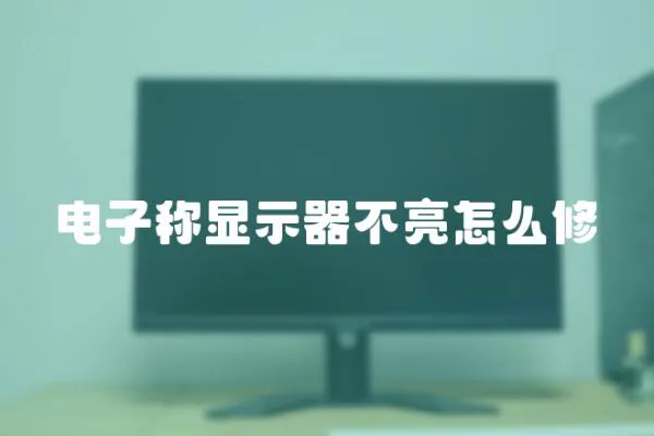 電子稱顯示器不亮怎么修