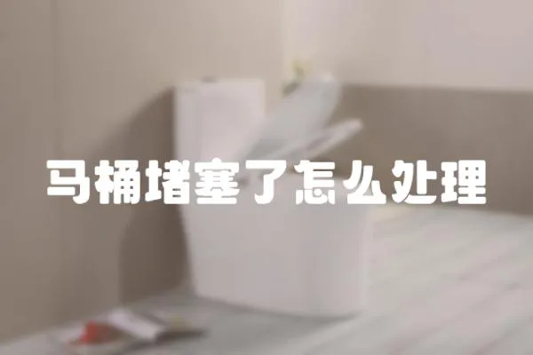 馬桶堵塞了怎么處理