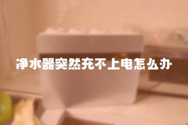 凈水器突然充不上電怎么辦