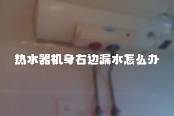 熱水器機身右邊漏水怎么辦