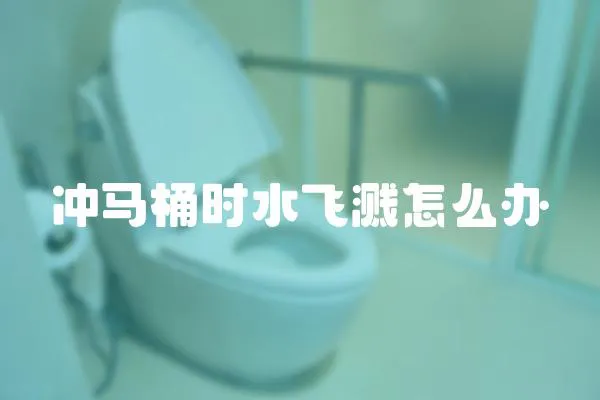 沖馬桶時水飛濺怎么辦