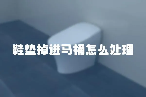 鞋墊掉進馬桶怎么處理