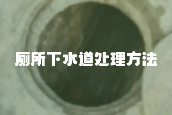 廁所下水道處理方法