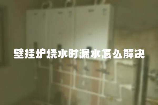 壁挂炉烧水时漏水怎么解决