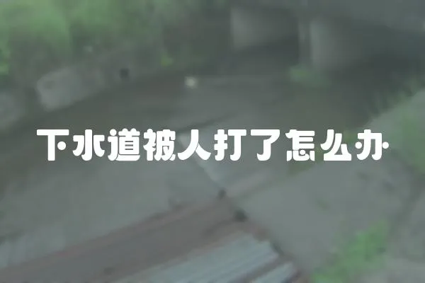下水道被人打了怎么辦