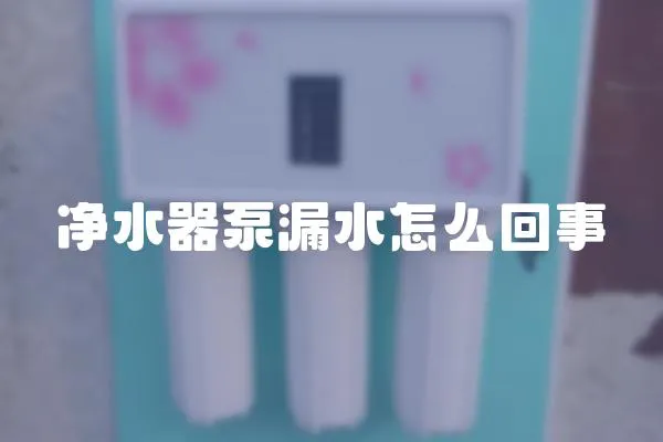 凈水器泵漏水怎么回事