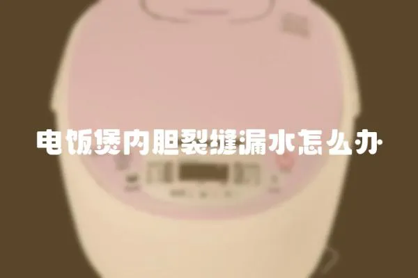 電飯煲內(nèi)膽裂縫漏水怎么辦