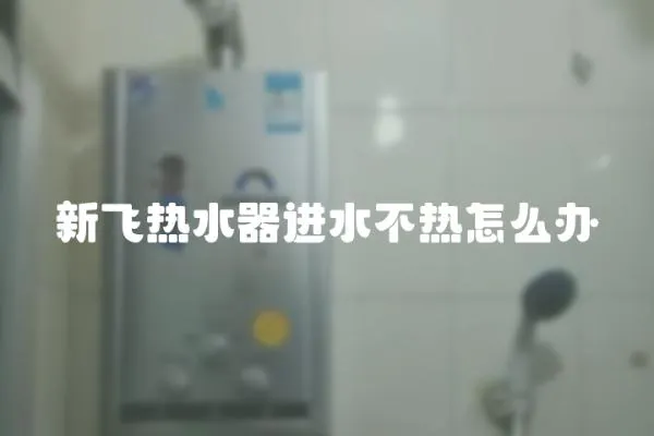 新飛熱水器進水不熱怎么辦