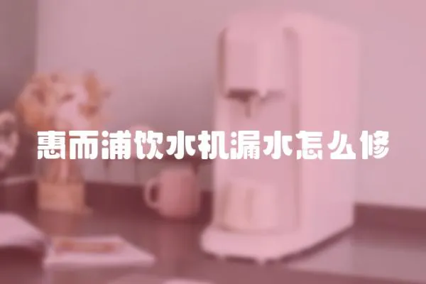 惠而浦飲水機(jī)漏水怎么修