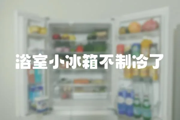 浴室小冰箱不制冷了