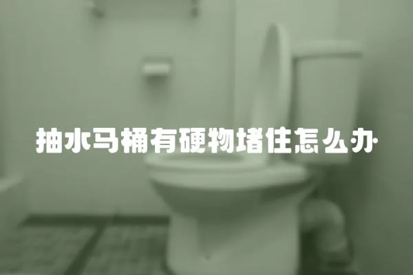 抽水馬桶有硬物堵住怎么辦