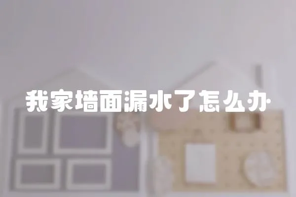 我家墻面漏水了怎么辦