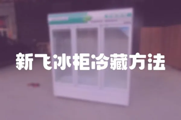 新飛冰柜冷藏方法