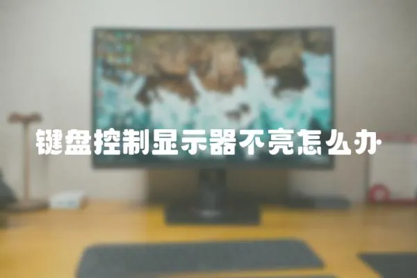 鍵盤控制顯示器不亮怎么辦