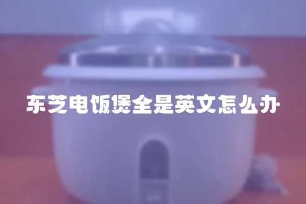 東芝電飯煲全是英文怎么辦