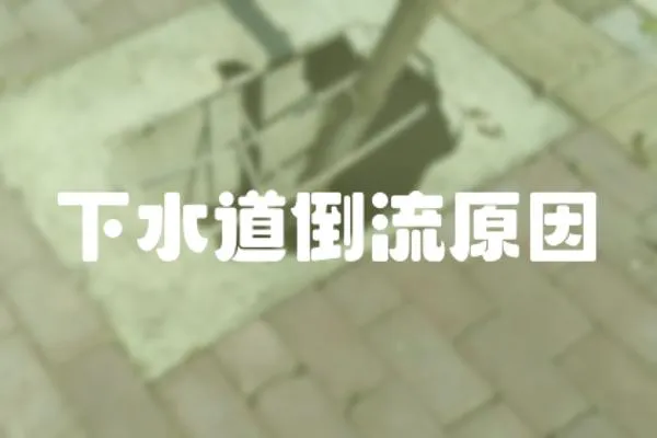 下水道倒流原因