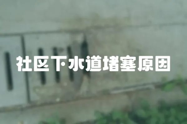 社區下水道堵塞原因