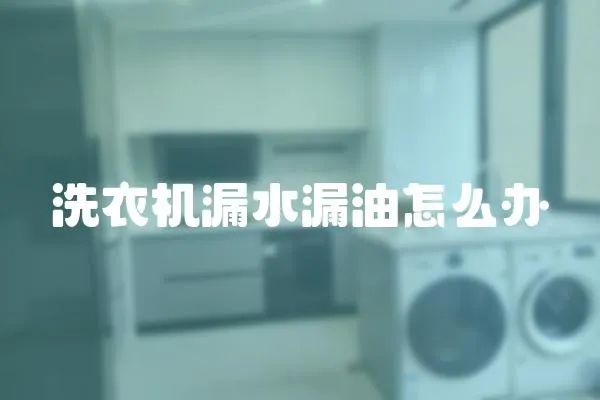 洗衣機漏水漏油怎么辦