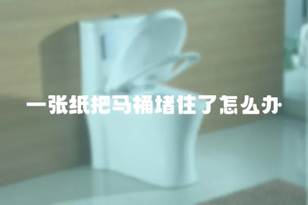 一張紙把馬桶堵住了怎么辦