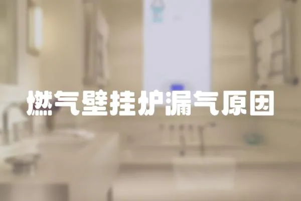 燃氣壁掛爐漏氣原因