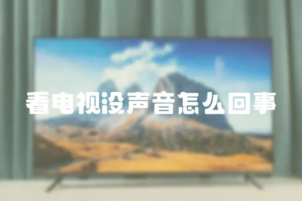 看電視沒聲音怎么回事