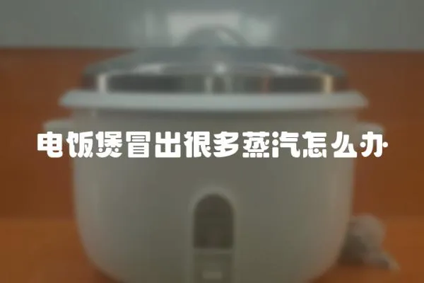 電飯煲冒出很多蒸汽怎么辦