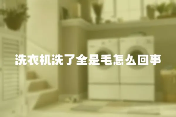 洗衣機(jī)洗了全是毛怎么回事