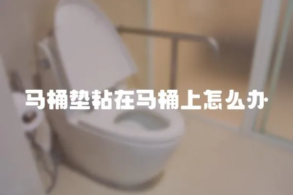 馬桶墊粘在馬桶上怎么辦