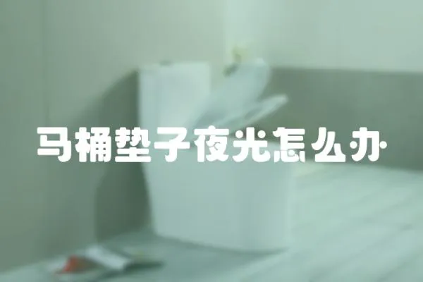 馬桶墊子夜光怎么辦
