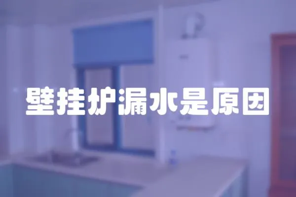 壁掛爐漏水是原因