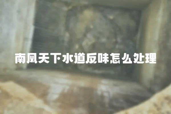 南風天下水道反味怎么處理