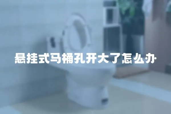 懸掛式馬桶孔開大了怎么辦