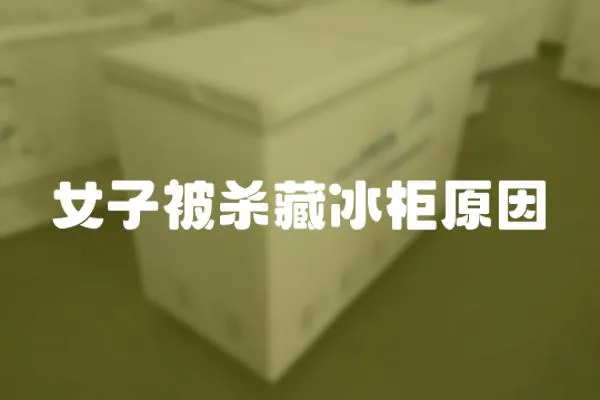女子被殺藏冰柜原因