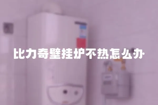 比力奇壁掛爐不熱怎么辦